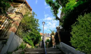 Escalier verdoyant à Paris, une invitation à une activité insolite loin des foules. Un chemin secret sous le ciel bleu.