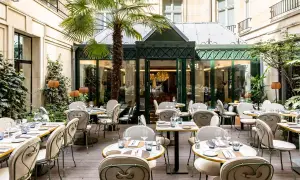 Cour intérieure d'un restaurant chic, tables dressées sous un palmier, ambiance paisible, comme un blossom de sérénité.