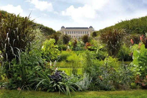 Jardin luxuriant devant le musée d'histoire naturelle de Paris, accessible en métro.
