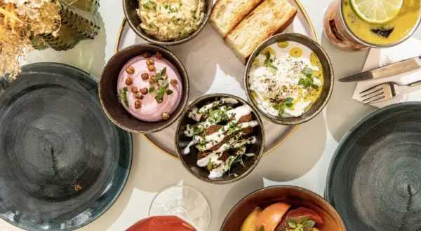 Un plateau de mezzés colorés, avec des dips crémeux, des toasts et une salade de tomates. Les belles plantes aromatiques ajoutent une touche de fraîcheur.