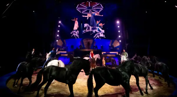 Spectacle équestre des folies Gruss : des chevaux noirs et blancs évoluent sous les projecteurs, tandis que des acrobates aériennes dansent au-dessus.