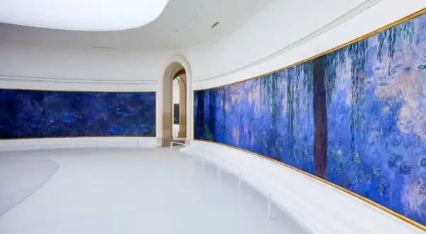Immersion dans les Nymphéas de Monet au musée de l'Orangerie, un havre de paix à deux pas du métro.