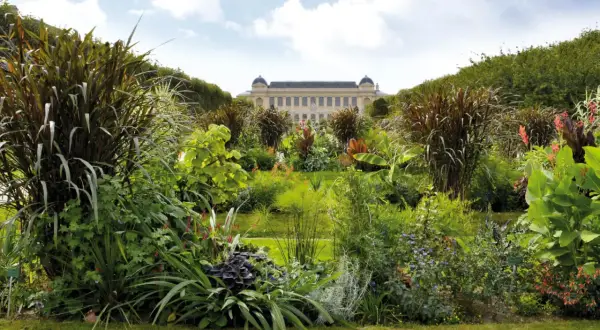 Jardin luxuriant devant le musée d'histoire naturelle de Paris, accessible en métro.