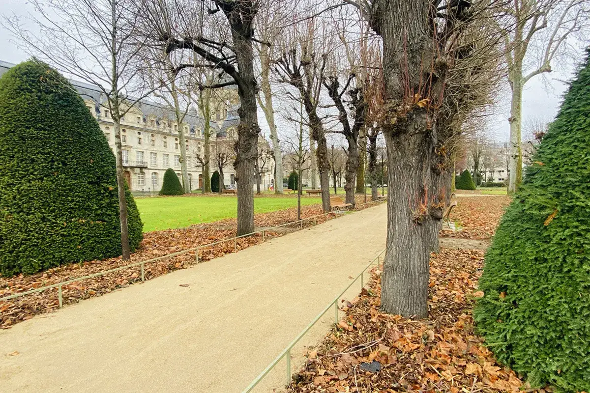 All&eacute;e d'arbres d&eacute;nud&eacute;s et de buissons taill&eacute;s dans le val de gr&acirc;ce, avec un b&acirc;timent historique en arri&egrave;re-plan.
